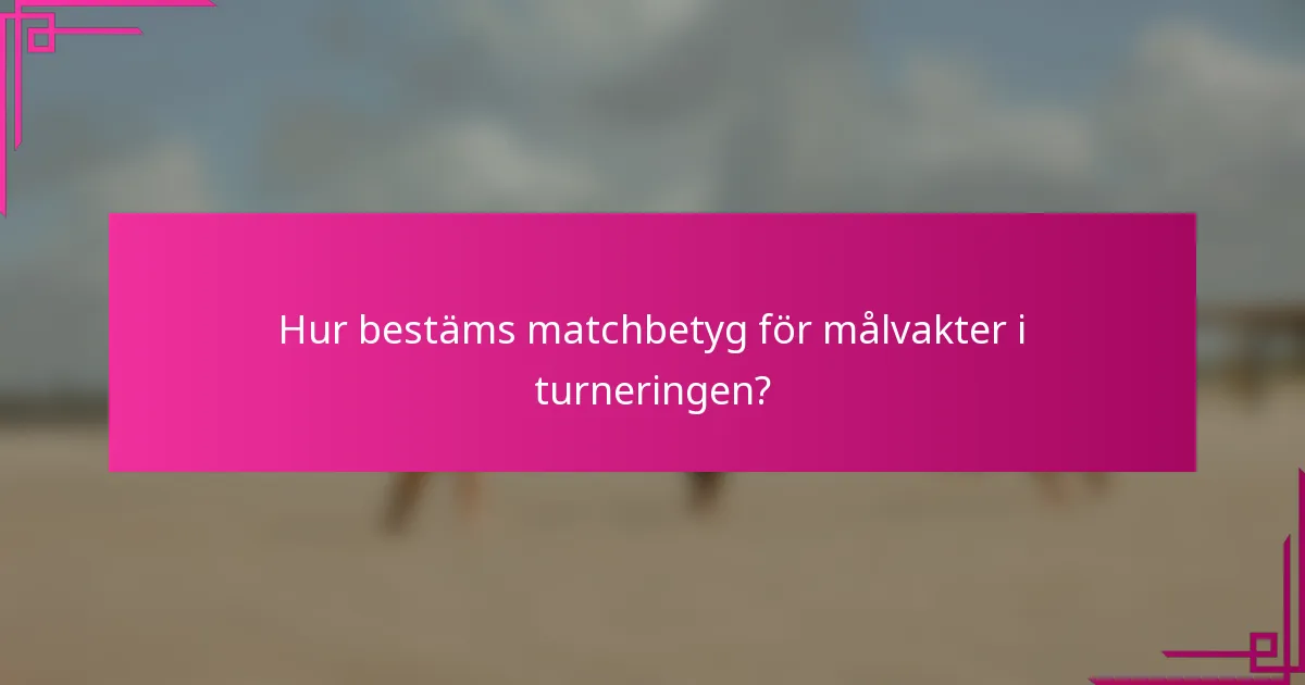 Hur bestäms matchbetyg för målvakter i turneringen?